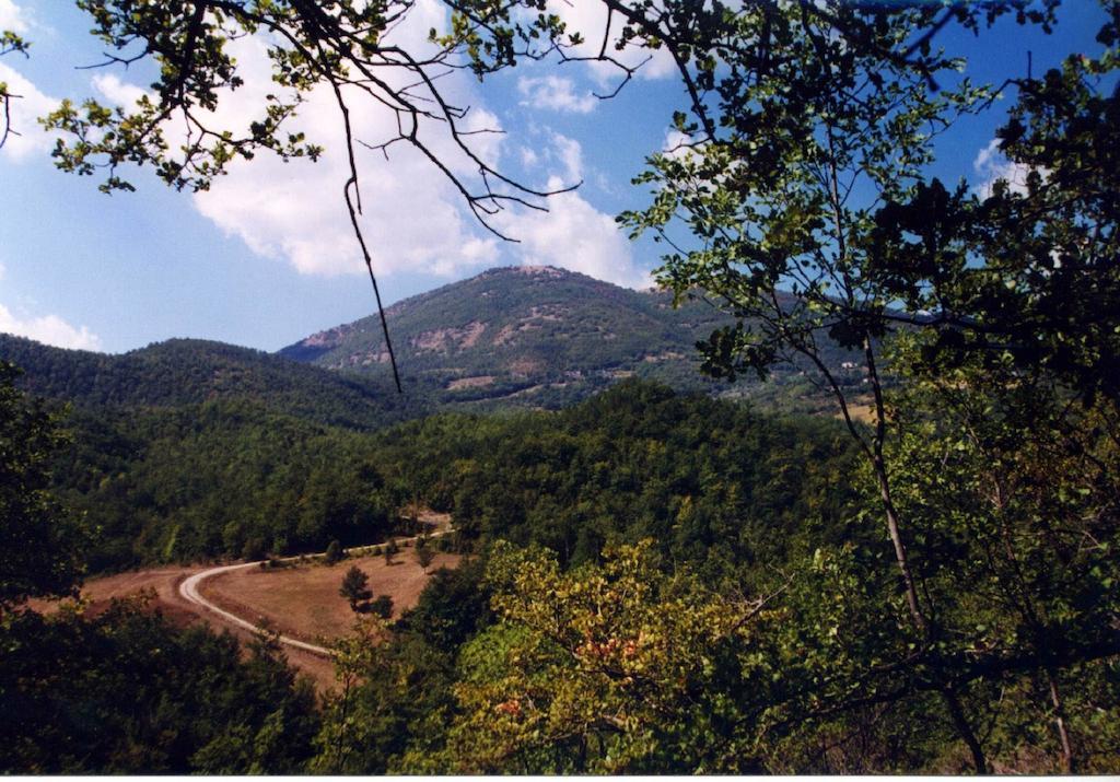 Agriturismo Monte Acuto أمبيرتيدي المظهر الخارجي الصورة