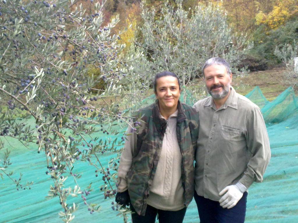 Agriturismo Monte Acuto أمبيرتيدي الغرفة الصورة