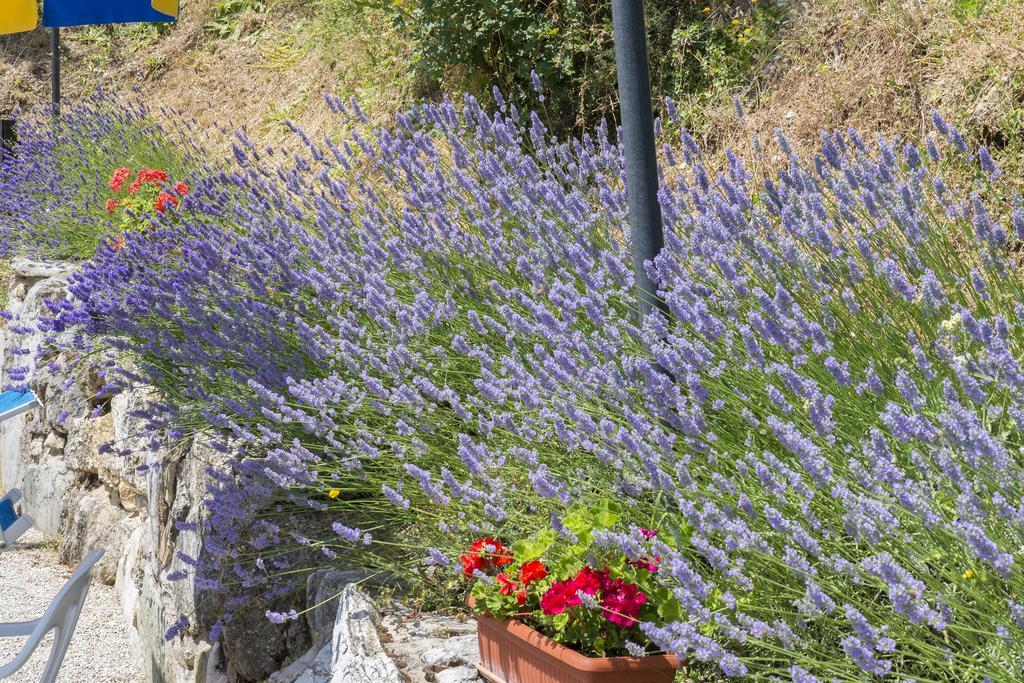 Agriturismo Monte Acuto أمبيرتيدي المظهر الخارجي الصورة