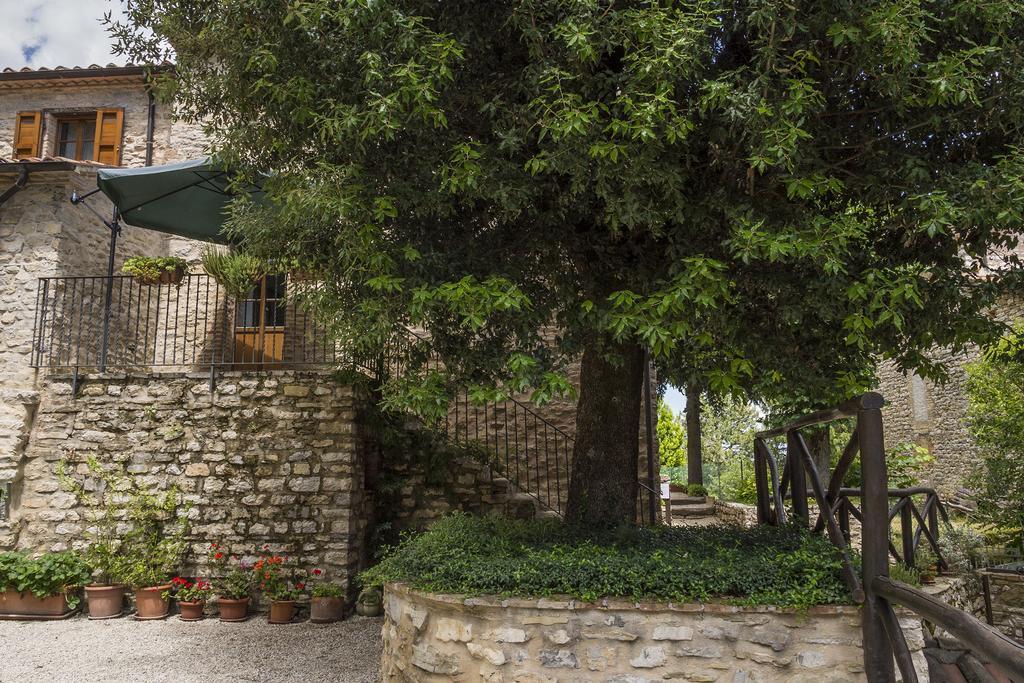 Agriturismo Monte Acuto أمبيرتيدي الغرفة الصورة